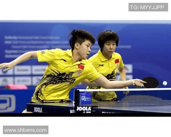 成都排球队灵活性引发热议球迷与专家各执己见探讨争议背后原因